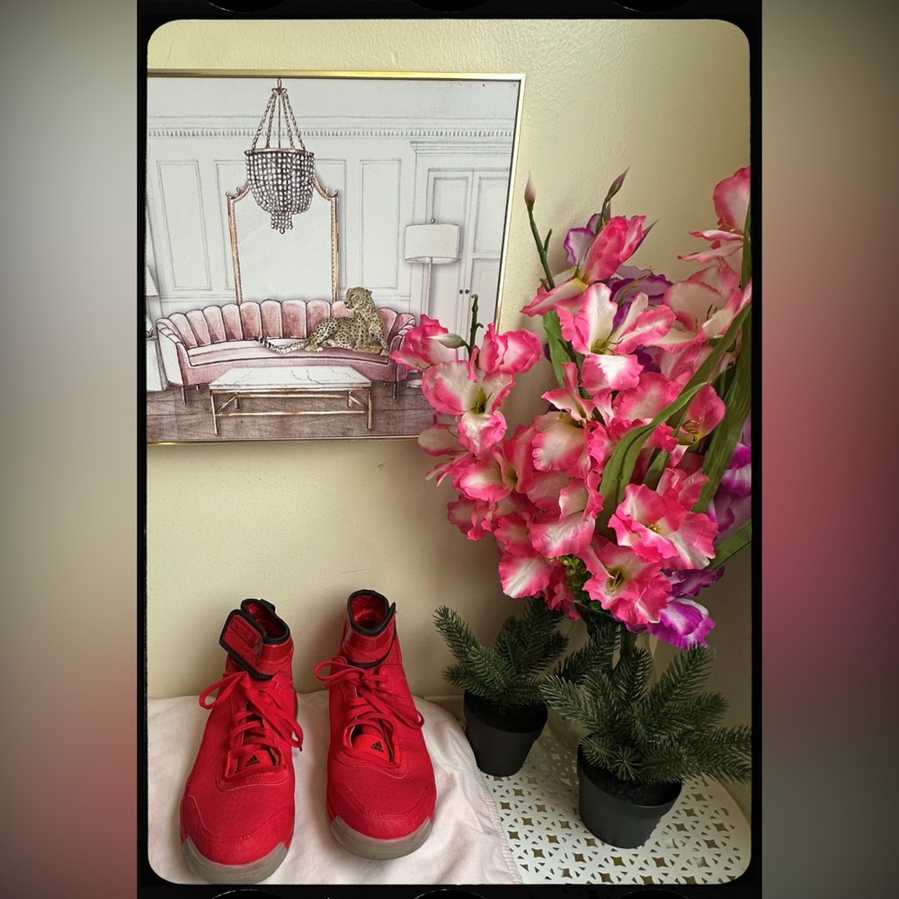 Adidas Dual Threat BB basketball shoe